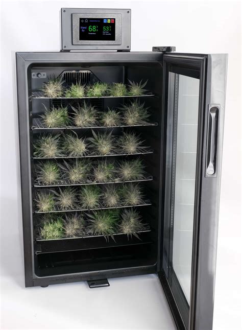 electric drying box|drying box for cannabis.